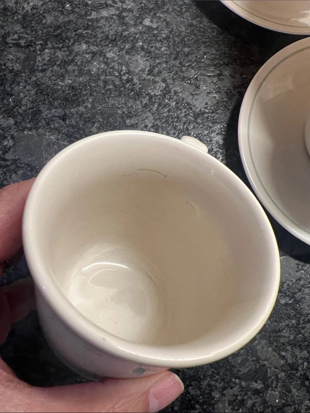 Corelle CALICO ROSE cup and saucer set of 4. Green and Pink roses